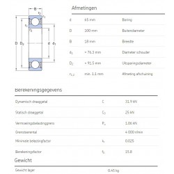 SKF Groefkogellager 6013-2RS1