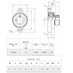 Flenslagerblok SSUFL 002 met excenterring