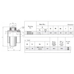 RVS Spanlager SSUC213