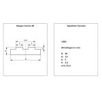 T - Ketting geleide profiel volgens DIN 8187 voor ketting 10B-2 hoogte 10mmLengte 2000mm