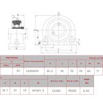 Staand lagerblok korte voet UCPA 204 SBR3 steek 52mm