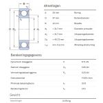SKF Groefkogellager W6005-2RS1