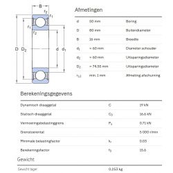 SKF W6010 2RS1