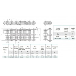 Rollenketting 20B-2