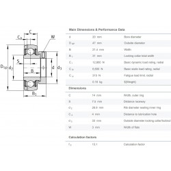 INA GRAE20-NPP-B-FA125.5