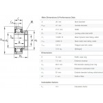 INA GRAE20-NPP-B-FA125.5