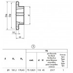 Klembuswiel 16B-1 21T-H 2517